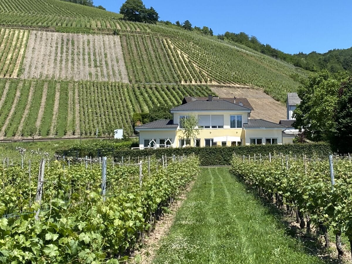 Sicht vom Moselufer auf das Haus