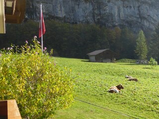 Aussicht Ferienwohnung