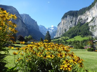 Aussicht Ferienwohnung