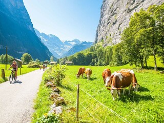 Holiday apartment Lauterbrunnen Environment 32