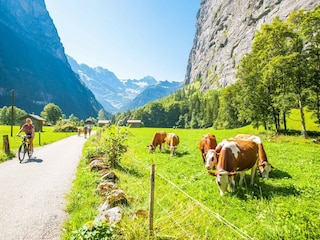 Wanderweg Stechelberg