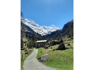 Wanderweg Trachsellauenen