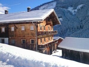 Apartment Steinwandhütte I - Stummerberg - image1