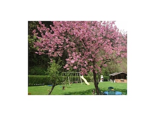 Haus Eberharter Spielplatz und Liegewiese