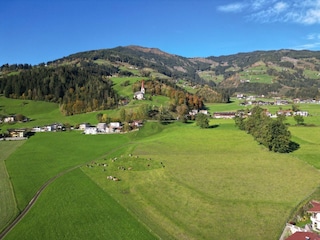 b94dac72-e090-45a0-94c3-8e697b9fc19a