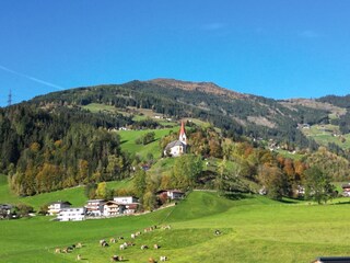 d83ba567-9783-4bfb-8190-20d11b6371c4