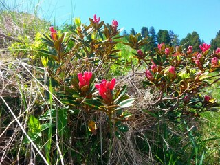 20150607_143820