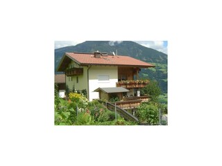 Garten mit Blick zum Haus