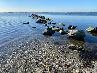 Strand Herkingen