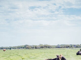 Villa Julianadorp Ambiente 17