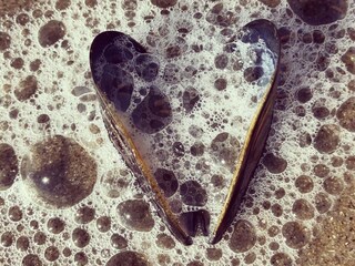 Villa Julianadorp Ambiente 18