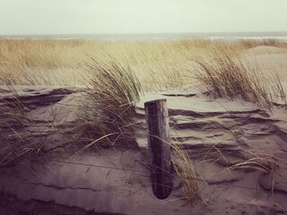 Villa Julianadorp Ambiente 19