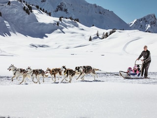 Huskytouren