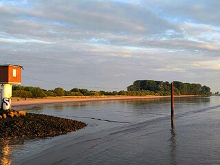 Hundestrand Elbinsel Krautsand