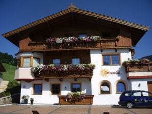 Vakantieappartement Huis Sonnenblik - Wildschönau-Niederau - image1