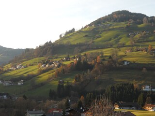Blick in die Abendsonne