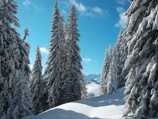 Appartamento per vacanze Wildschönau-Niederau Ambiente 14