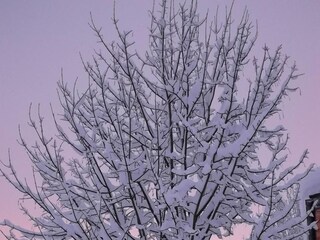 Appartamento per vacanze Wildschönau-Niederau Ambiente 17