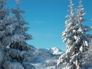 Appartamento per vacanze Wildschönau-Niederau Ambiente 15