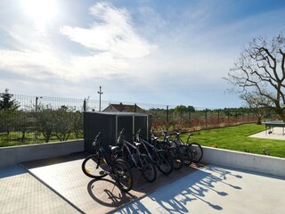 Villa Višnjan Environment 37