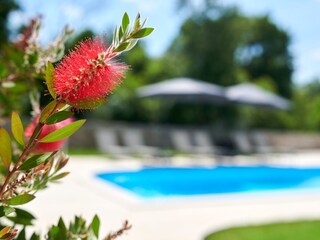 Villa Višnjan Omgeving 26