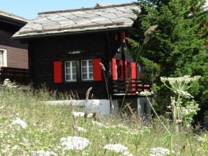 Apartment Chalet Antika - Saas-Fee - image1