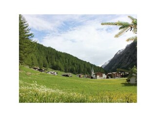 IMG_7468