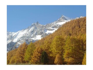 Wald und Mischabelgruppe