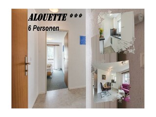 Alouette113