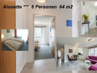1. Alouette 113