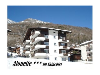 Alouette 1 Winter