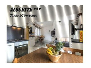 Alouette 117 Studio