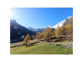 IMG_0701