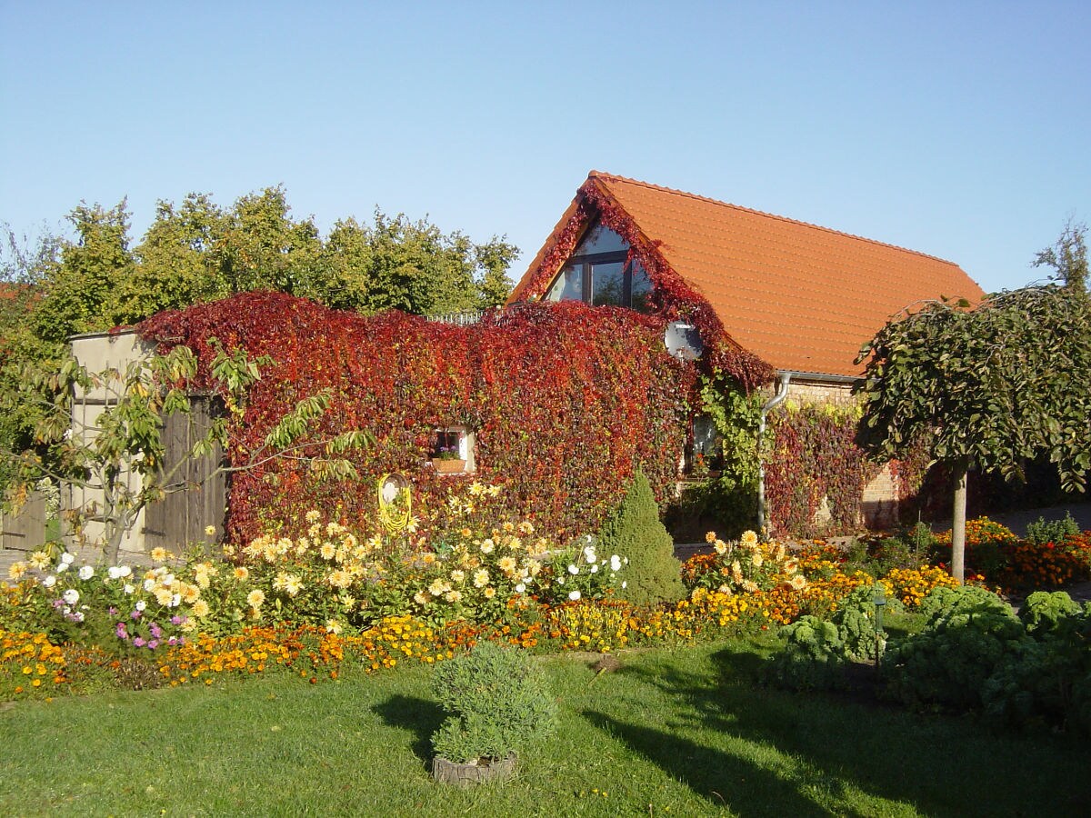 Ferienwohnungen im Nebengebäude