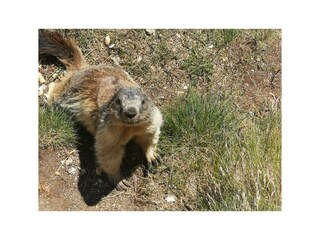 IMG_20220713_123754_resized_20230613_081539707