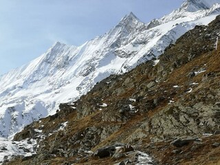 IMG_20201025_120304_resized_20230613_082030468