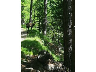 IMG_20220618_095916_resized_20230613_081540085