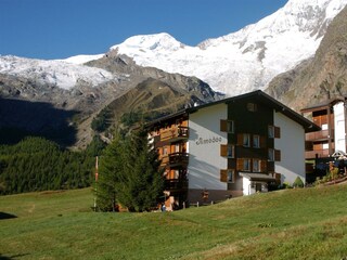 11301011  DSC_4132 Kopie