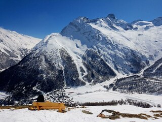 WhatsApp Image 2020-05-02 at 21.25.27