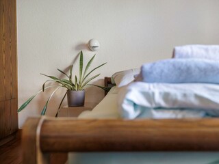 everestp-0847 (Large)