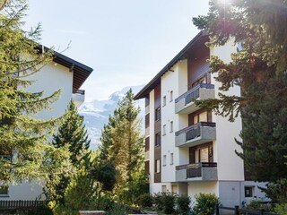 everestp-1108 (Large)