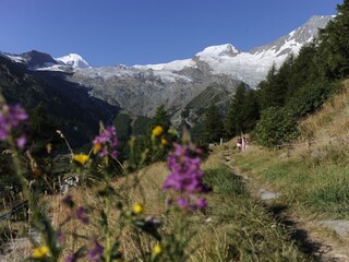 Wandern im Saastal (C)Perret