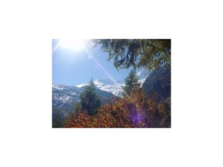 8 Berge mit Bäumen im Vordergrund