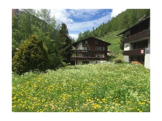 Haus mit Blumenwiese