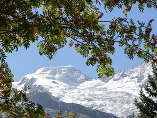 haus_am_biel_saas_fee_bergwelt3