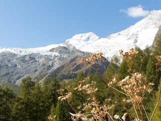 haus_am_biel_saas_fee_bergwelt13