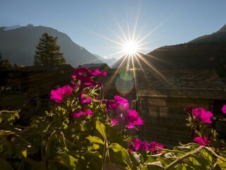 haus_am_biel_saas_fee_haus3