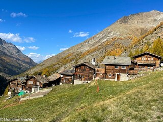 Trächu_bearbeitet_a-00001