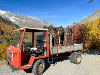 Trächu_bearbeitet_a-00002