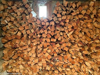 Trächu_bearbeitet_a-00004